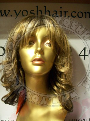 Ashana Anicha ST1010