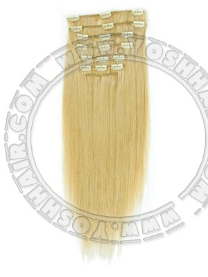 COMPLETE CLIP IN SYSTEEM #22 45CM OF 55CM LANG