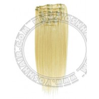 COMPLETE CLIP IN SYSTEEM #24 45CM OF 55CM LANG