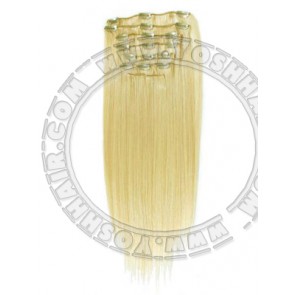 COMPLETE CLIP IN SYSTEEM #24 45CM OF 55CM LANG