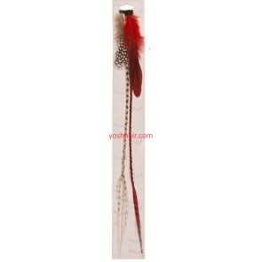 Feather Clip Extensions