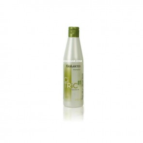 Salerm Citric Balans Shampoo