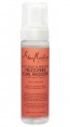 Shea Moisture Coconut Frizz Free Curl mousse