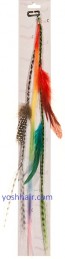 Feather Clip Extensions