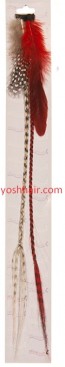 Feather Clip Extensions